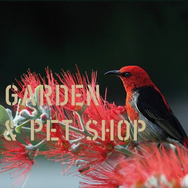 MMASGardeningShops-MMASPetShops-database