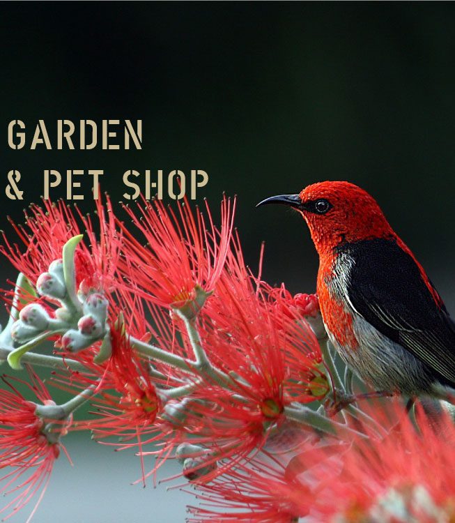 MMASGardeningShops-MMASPetShops-database